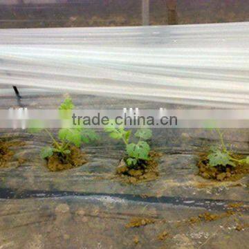 Transparent poly mulch film for agriculture