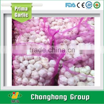 Best quality normal white garlic with lowest price