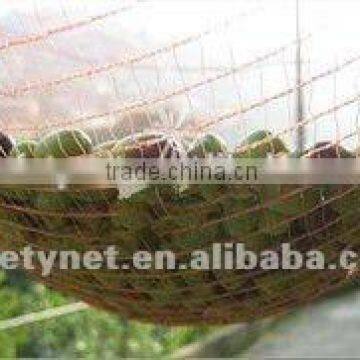 high quality HDPE harvest olive net