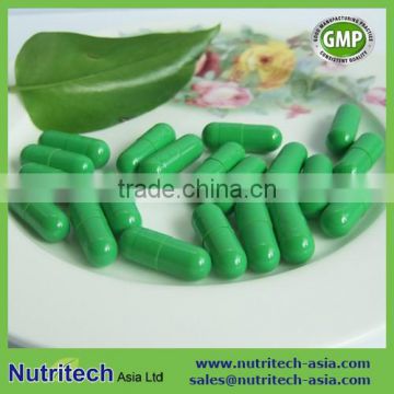 Health supplement Green Coffee Bean Capsules oem manufacturer