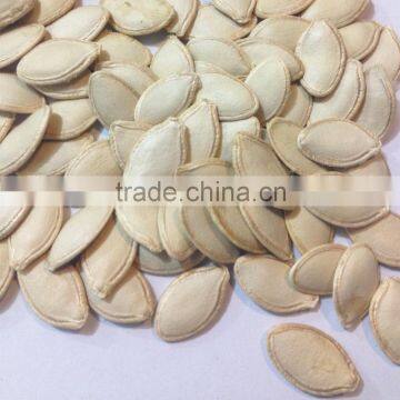 China New Crop Wholesale Shine Skin Pumpkin Seeds photo-3
