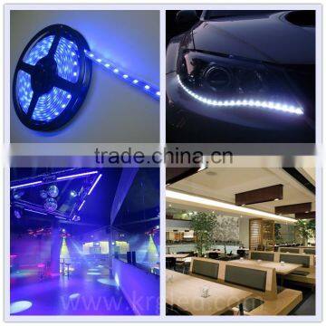 5 years warranty rgbw dual color led strip 12v led strip light