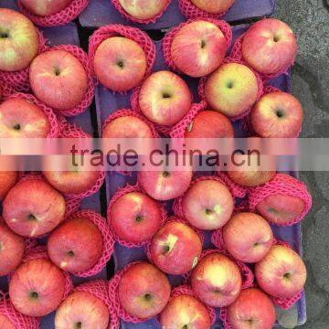 Various Apples photo-5