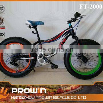 2016 20"*4.0 tire fat biike/fat tire bikes/sonw bikes for sale (PW-FT20006)