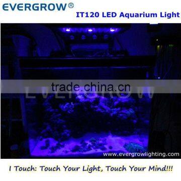 blue moon IT2040 120W Chinese Led Aquarium Light