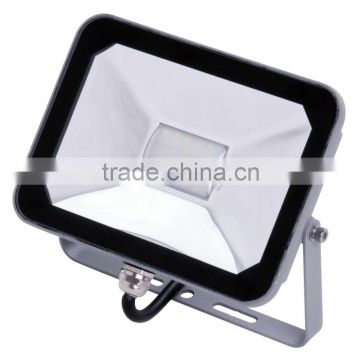 IC 220-240V 10w 20w Eco choice LED Flood Light