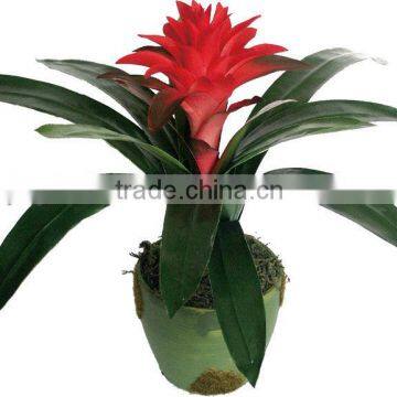 Artificial torch orchid bonsai for indoor decor