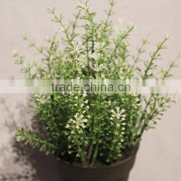 Bulk Fake Potted Artificial Plastic Grass in Plastic Planter for Sale photo-3