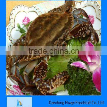 Fresh frozen crab seafood