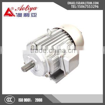 IEC standard 3 phase industrial motor