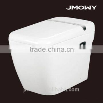 Intelligent bidet toilet automatic flush toilet