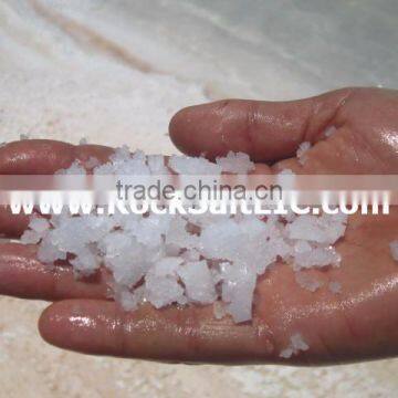 Bulk sodium chloride for importers of salt l prices of salt per ton $18.50/MTl SGS