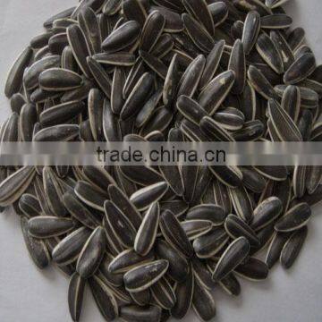 New crop Sunflower Seeds form China