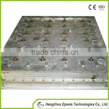 Precision Injection Plastic EPS Mould