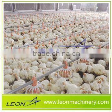 Leon complete poultry chicken poultry farm equipment