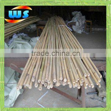 Middle sizes bamboo