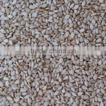 Chinese new crop whitish sesame seeds, white sesame seeds ,sortex