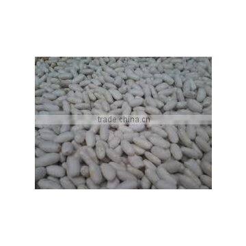 SPECKLED KIDNEY BEANS photo-5