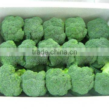 Fresh Broccoli photo-4