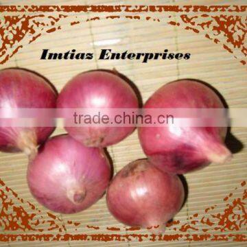 Pakistan ONION