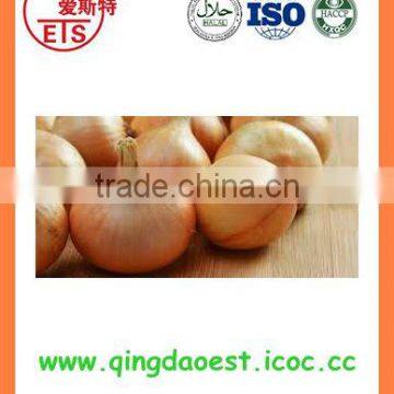 Chinese Best quality products exporter of fresh yellow onion