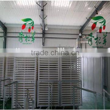 Goji Juice/organic Goji Jucie/goji Berry Juice/fresh Goji Juice photo-3