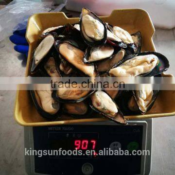 High quality half shell mussel with good price