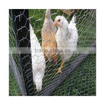 Galvanised Hexagonal wire mesh, chicken wire mesh, poultry wire 1/2 hex mesh chicken wire