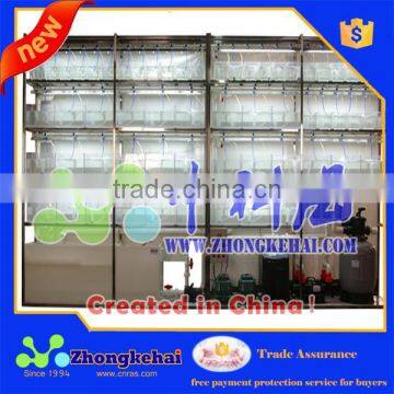 Experimental zebra fish farming system fish tank