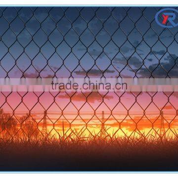 China Supplier Cheap Wholesale Galvanized Used Decorative Chain Link Fence for Sale photo-2