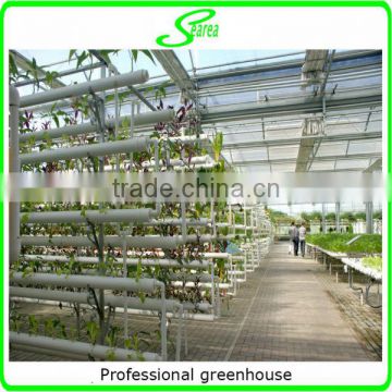 lettuce system hydroponic green house