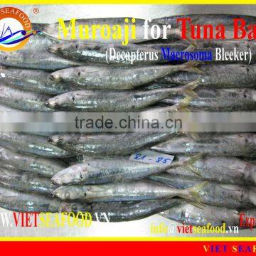 MUROAJI FOR TUNA BAIT photo-2