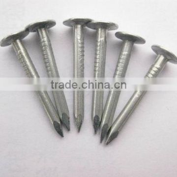 Iron roofing felt nails