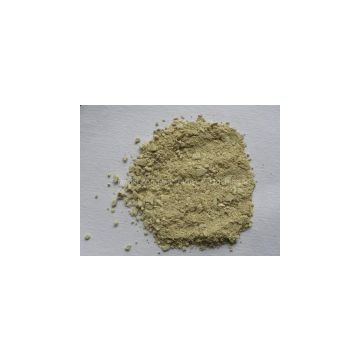 Kaempferol plant extract factory