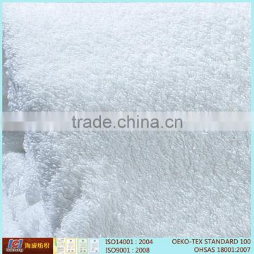 China 100% Pakistan Cotton Terry Towel