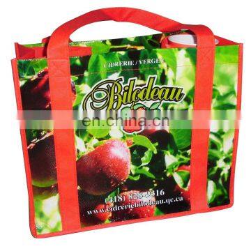 pp non-woven shopping bag