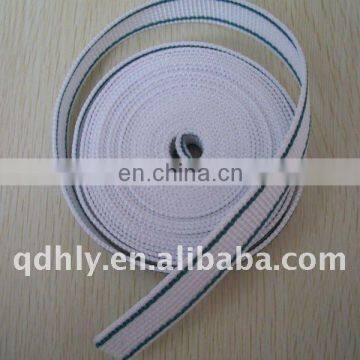 High tenacity PP webbing with colorful line