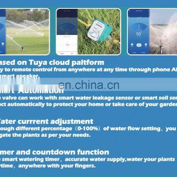 Smart Irrigation Valve Wifi Automatic Shut off Smart Valve Stainless Steel Brass BSP NPT Motorized Flow Control Valve photo-5