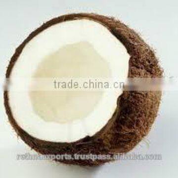 Highclass Coconut From South India photo-4