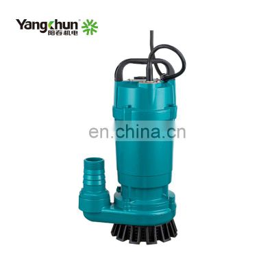 High Efficiency  0.75KW 220V Submersible Water Pump For Cleaning Water