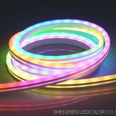 RGB LED Неоновая гибкая лента 24В 12В 2835 RGBIC Неоновые светильники ленты. Гибкая LED неоновая лента