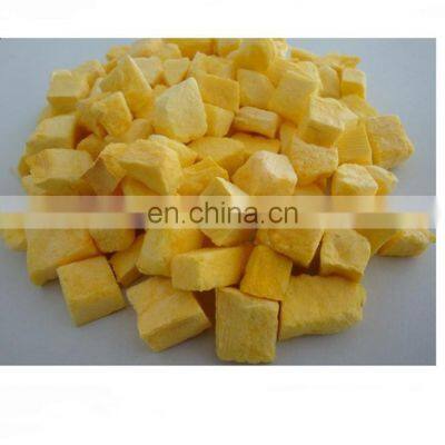 FD Strawberry Powder Freeze Dried Plants photo-2
