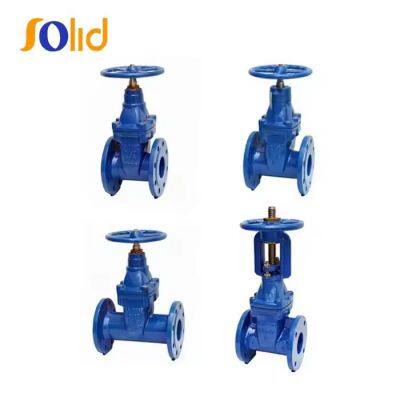 DIN BS Standard Cast Steel and Cast Iron Gate Butterfly Check Valve Ductile Iron Valves