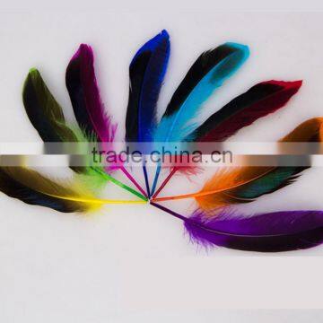 buy mallard duck feathers for decorative feather