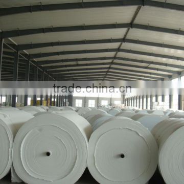 staple nonwoven polyester substrate for SBS, APP waterproofing membrane