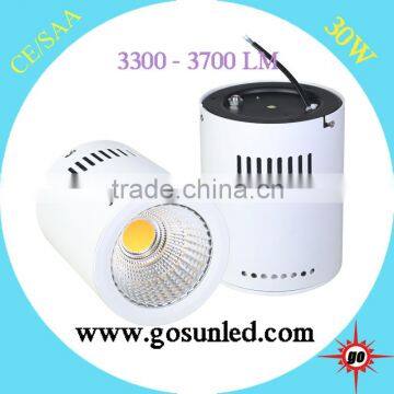 most popular 5 years warranty CE RoHS approval 30w surface mounted downlight