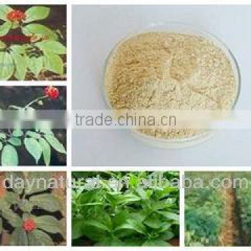 Panax Ginseng Extract for Drugs and Nutritional Supplements ginsenosides 5%-80%