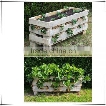 rustic look vintage wooden strawberry pallet / crate planter