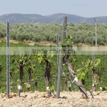 Best price of metal vineyard pole