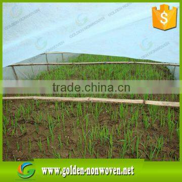 17~70g/m2 Biodegradable Weed Control PP Non Woven Weed Mat